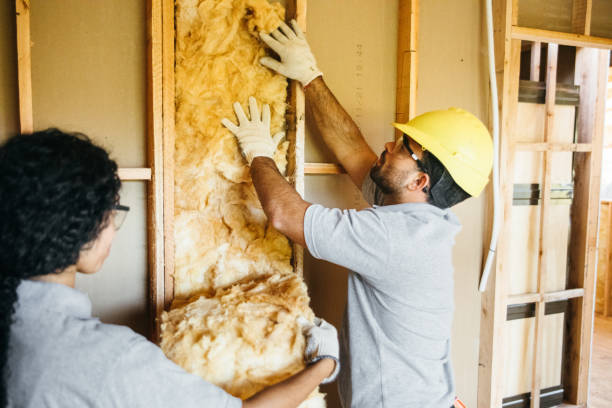 Best Soundproof Insulation  in Bryan, OH